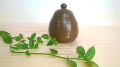 哈呢小茶罐 